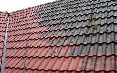 買地建房那些事兒 選對(duì)建筑外觀與建材，打造科技住宅